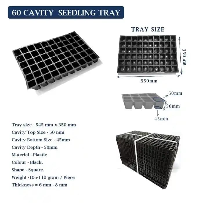 Shivsuraj 60 Cavity Seedling Tray Square Shape Hole Germination Tray, Nursery Tray For Sowing Seeds - Image 2