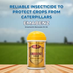 Agriventure Emabenz Gold (Emamectin Benzoate 5% Sg) Insecticide, Control All Types Of Worms And Caterpillars 2