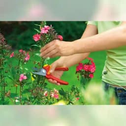 Wolf Garten Bypass Secateurs (RR 1500), Gardening Hand Tool With Safety Lock And Razor Sharp Blade 1