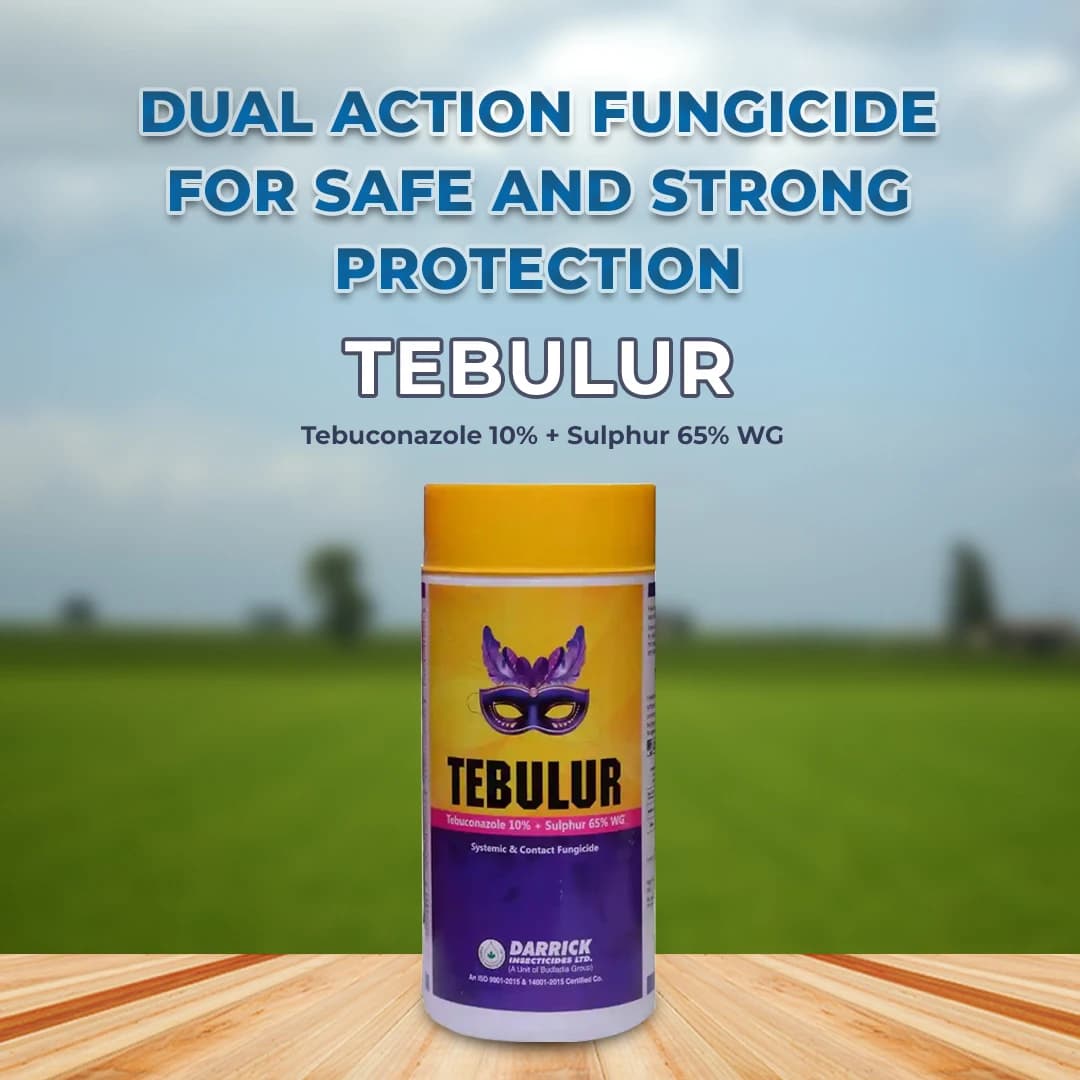 Darrick Tebulur Fungicide - Image 2