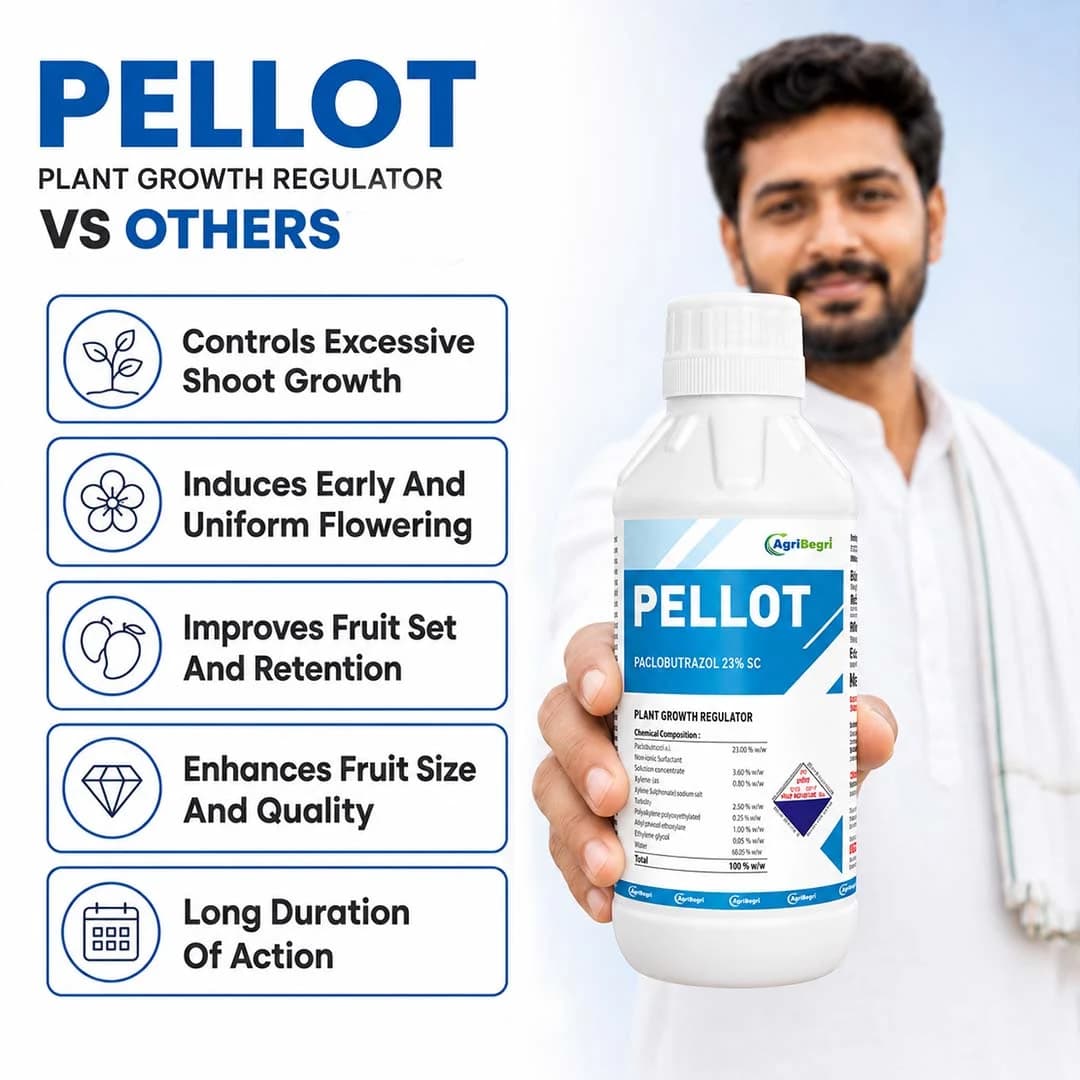 Pellot Plant Growth Regulator - Paclobutrazol 23% SC - Image 8