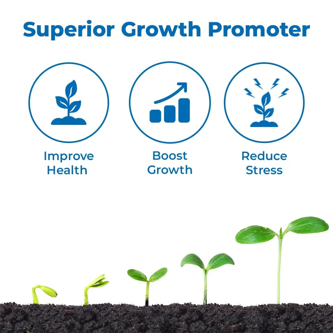 Lihoguard Chlormequat Chloride 50% SL, Widely Used In Agriculture For Boosting The Crop Yields. - Image 3