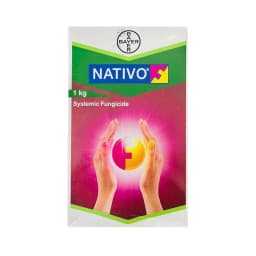 Bayer Nativo Tebuconazole 50% + Trifloxystrobin 25% WG (75 WG) Fungicide, Used To Control Various Fungal Diseases On Different Crops 1