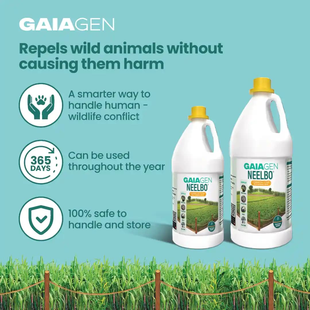 Gaiagen Neelbo Natural Formulation to Repel Wild Boars, Porcupines, Bison & Blue Bulls Without harming Them - Image 7