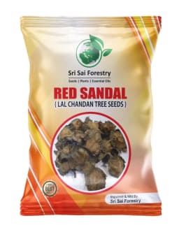 SRI SAI FORESTRY Red Sandal Seeds (Pterocarpus Santalinus , Lal Chandan or Raktachandan) 1