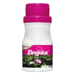 Nichino Zingala Pyrifluquinazon 20% WG Insecticide, Effective Control Whitefly In Cotton Crop 1