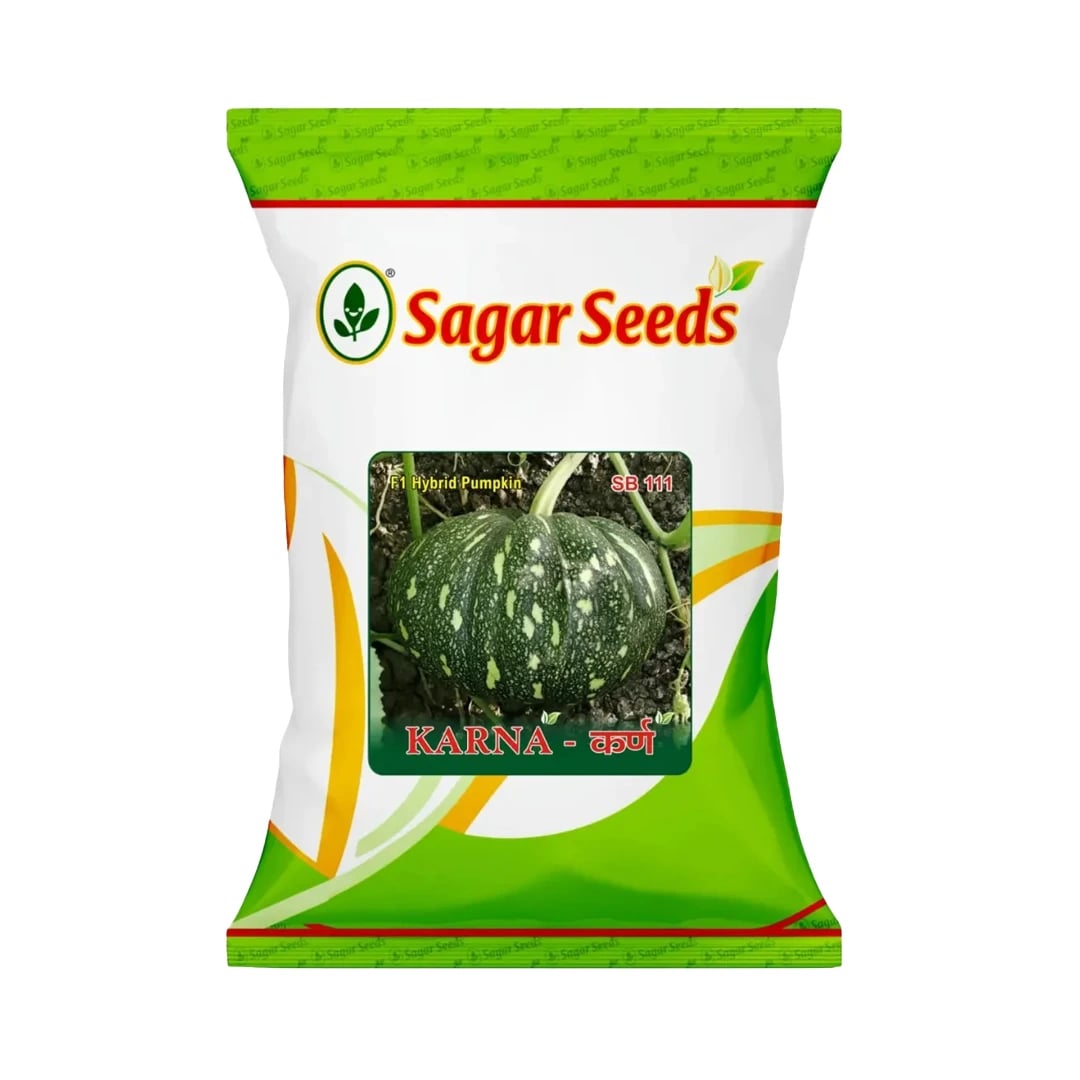Sagar Karna F1 Hybrid Pumpkin Seeds, Attractive Green Color Fruits, High Yielding Variety