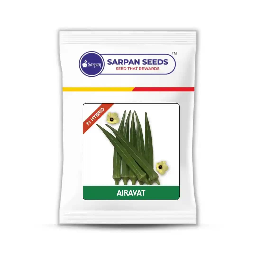 Sarpan Airavat Okra Seeds - Bindi Seeds - Image 1