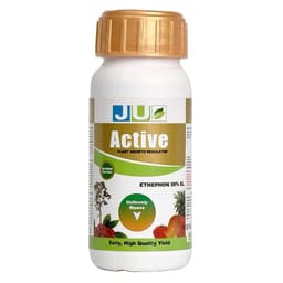 Ju Agro Active Ethephon 39% SL Plant Growth , Used For Breaking Alternate Bearing In Mango As Well As Ripening And Defoliation In Many Other Crops 1