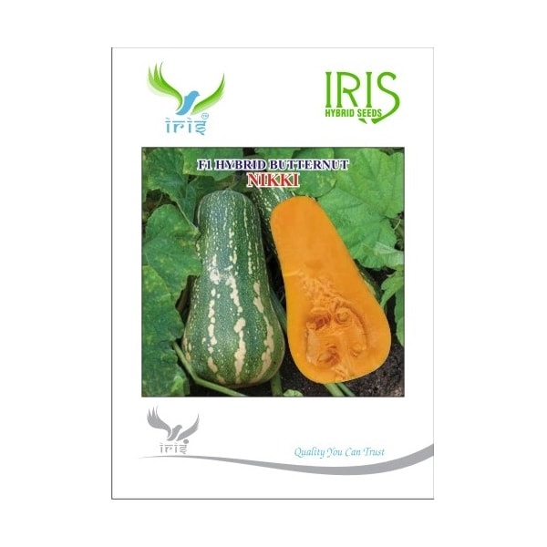 Iris Nikki F1 Hybrid Butternut Seeds, Oblong Fruits, Orange Flesh And High Yield Variety