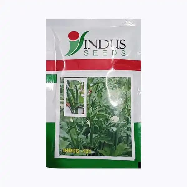 Indus F1 Hybrid 101 Bhindi (Okra) Seeds, Suitable For Kharif, Rabi And Summer.