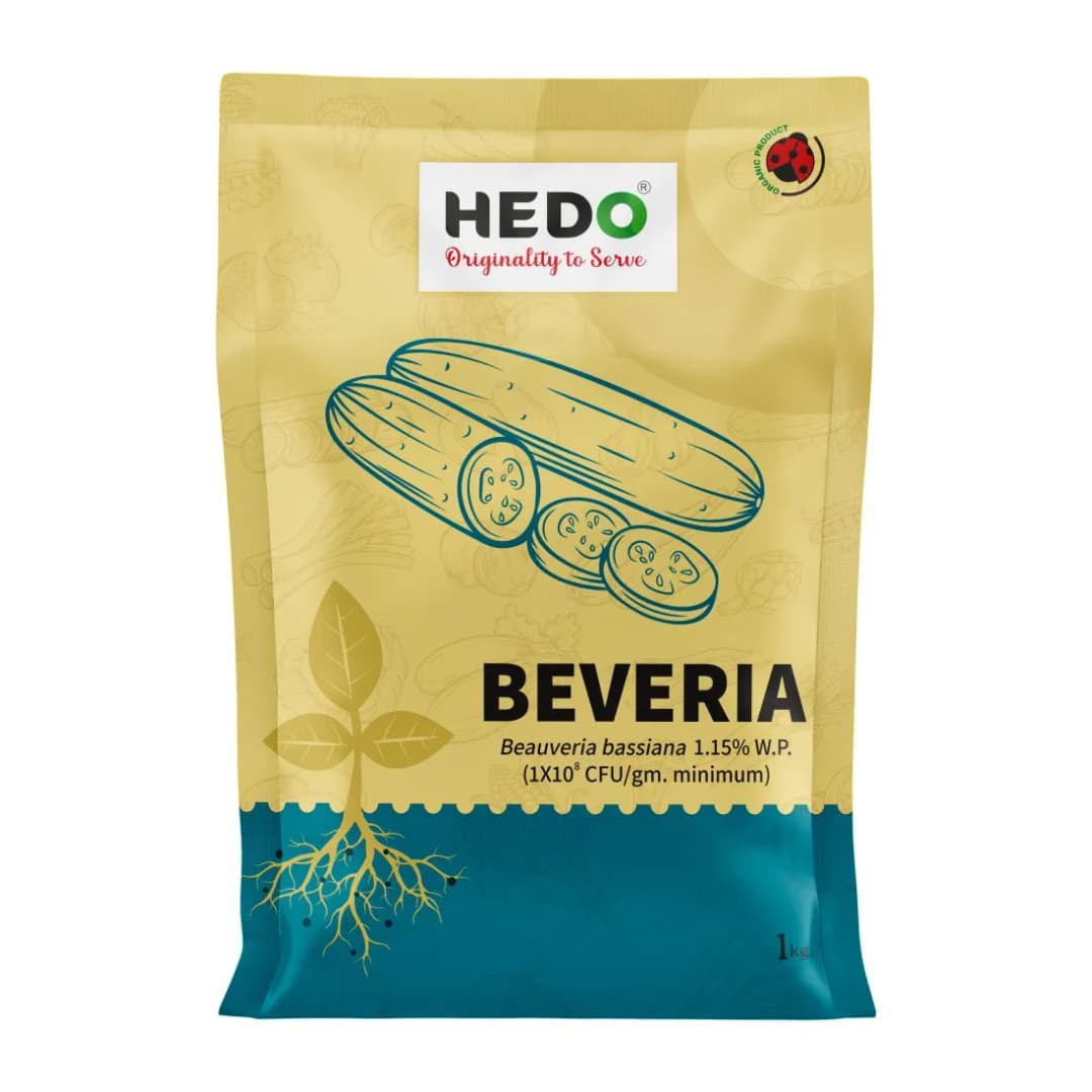 HEDO Beveria (Beauveria Bassiana 1.15% WP) Powder Bio Pesticide For Vegetables, Fruits & All Crops, Broad Spectrum Control