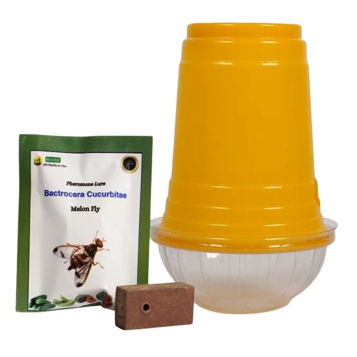 WAVAR Fruit Fly Trap with Bactrocera Cucurbitae Lure, Effective For Melon Fruit Fly Control In Cucurbit Crops