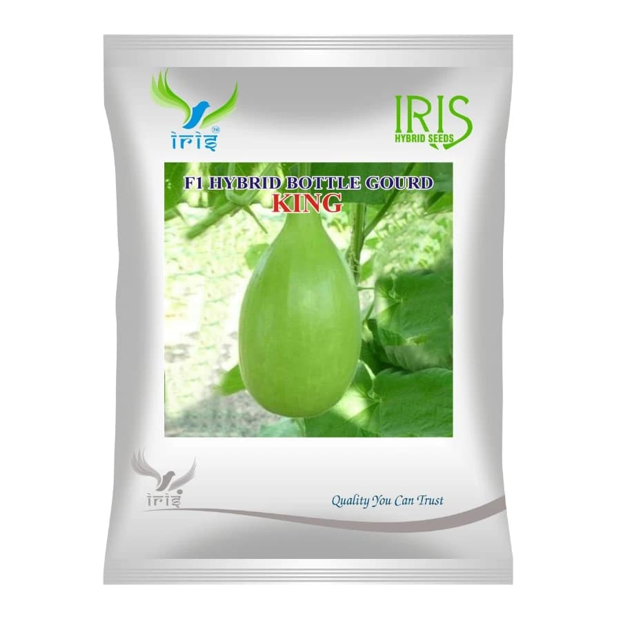 Iris KING F1 Hybrid Bottle Gourd Seeds, Very Early Maturity - Image 1