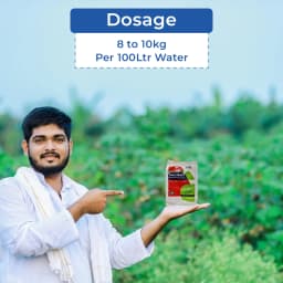 ICL Mono Ammonium Phosphate (12:61:00) Water Soluble Fertilizer and Recommended Using For Drip Fertigation or Foliar Spray 5