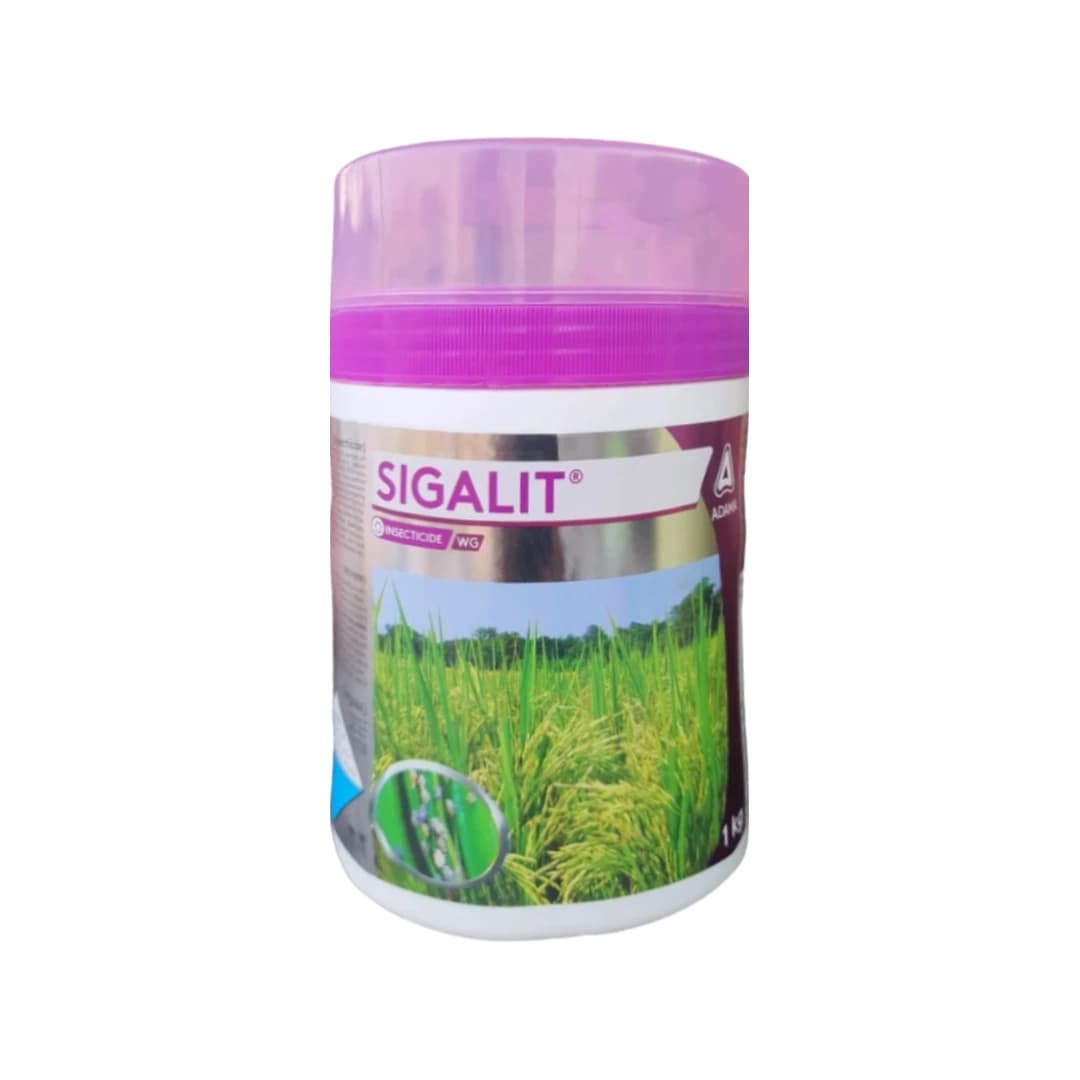 Adama Sigalit Pymetrozine 50% WG Insecticide, Highly Effective Solution for BPH Control In Paddy - Image 1