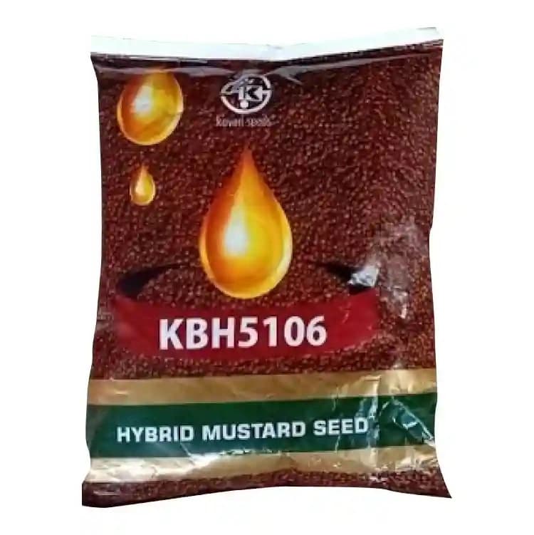Kaveri KBH-5106 Hybrid Mustard Seeds, High Oil Content, Suitable For Oil Extraction and Culinary Use
