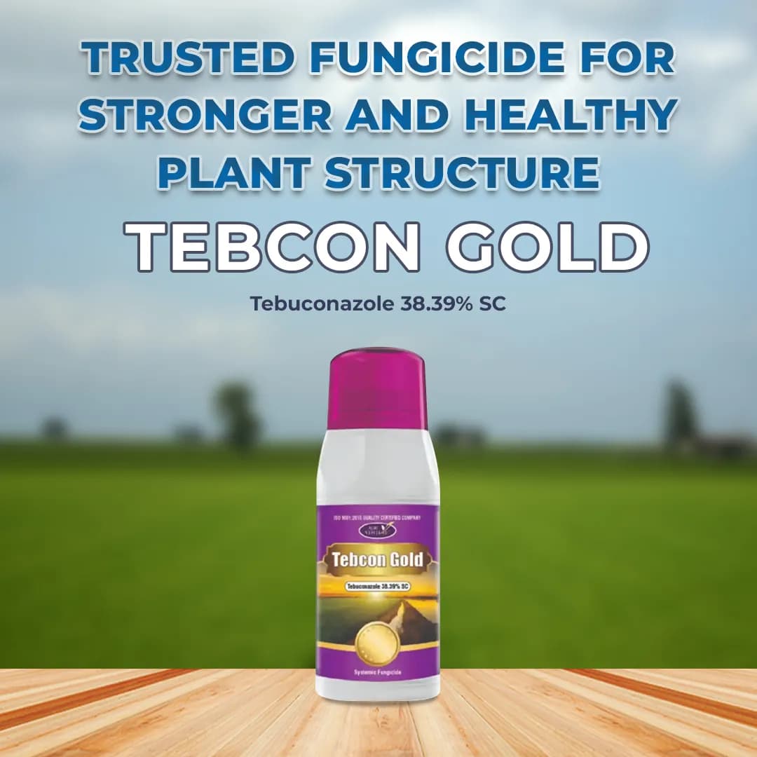 Agriventure Tebcon Gold Tebuconazole 38.39% SC Fungicide, Controls A Wide Range of Fungal Diseases, Including Powdery Mildew, Rusts. - Image 2