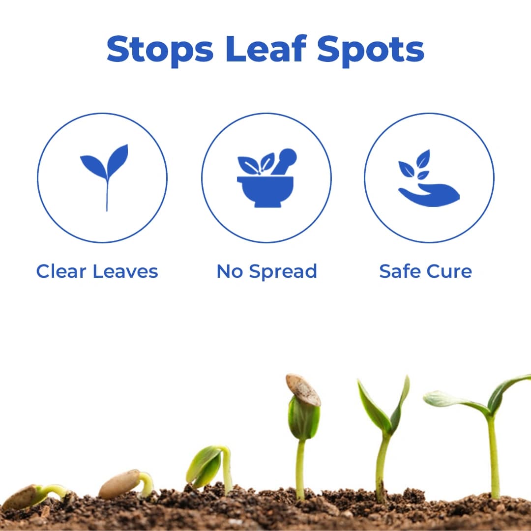 Aries Agro Rajat HD For Bacterial Treatment, Metallic Ions Embedded With Herbal Extract for all Crops - Image 3