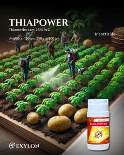 Exylon Thiapower Thiamethoxam 25% WG Insecticide, Effective Sucking Pest Control In Crops 2