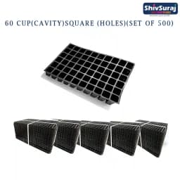 Shivsuraj 60 Cavity Seedling Tray Square Shape Hole Germination Tray, Nursery Tray For Sowing Seeds 2