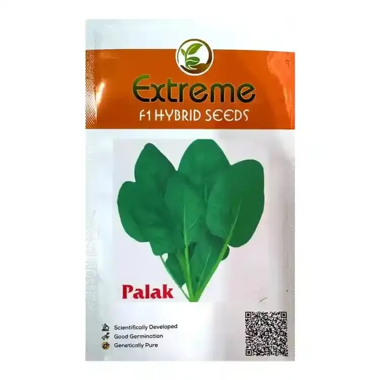 Extreme Harshit Spinach (Palak) F1 Hybrid Seeds, High Yielding and Round the Year Variety