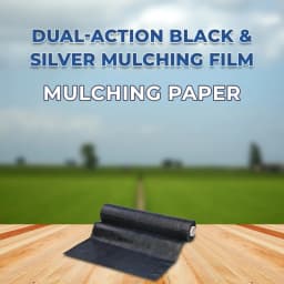 Siddhi Mulch Film, Mulching Sheet, Mulching Paper Black & Silver Mulching Paper (1.2 Meter or 4 Ft Width) 400 Meter Length 2