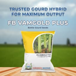 Farmson FB Vamgold Plus F1 Hybrid Bottle Gourd Seeds, Light Green In Color 2