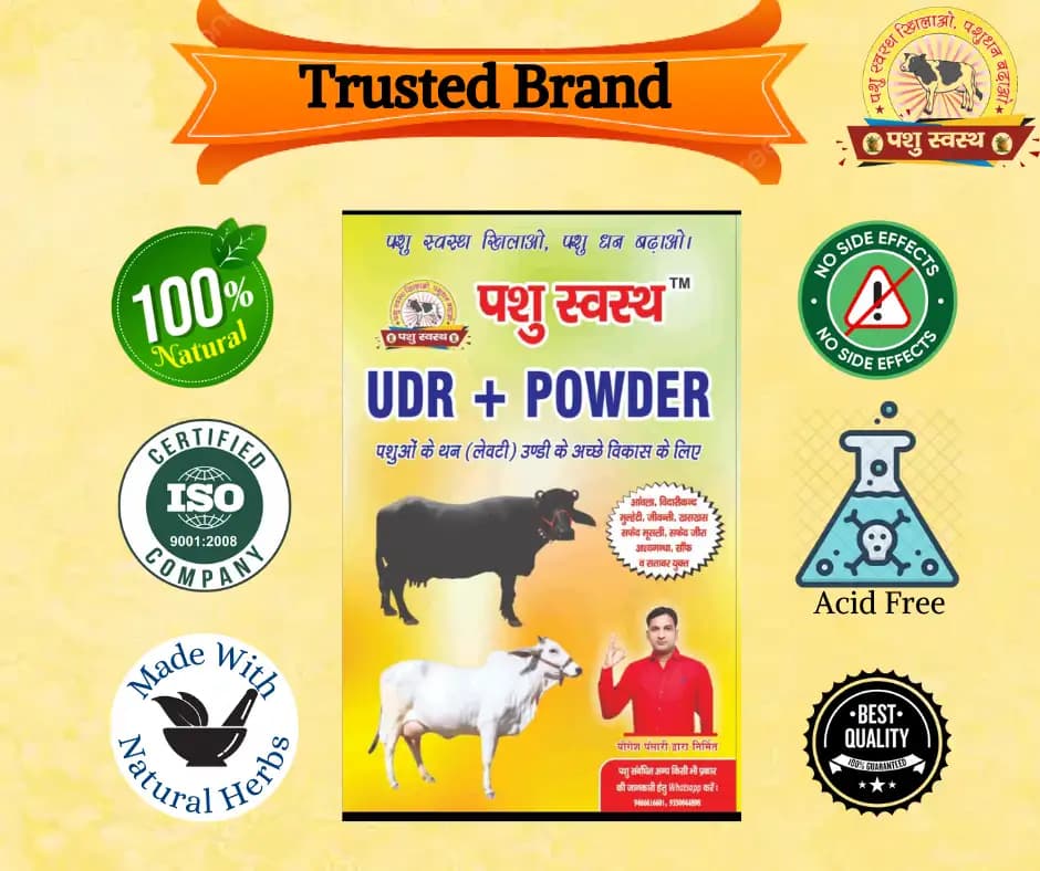PASHU SVASTH UDR+ POWDER, Herbal Udder (Levity, Thun) Milk Enhancer For Cows And Buffaloes - Image 9