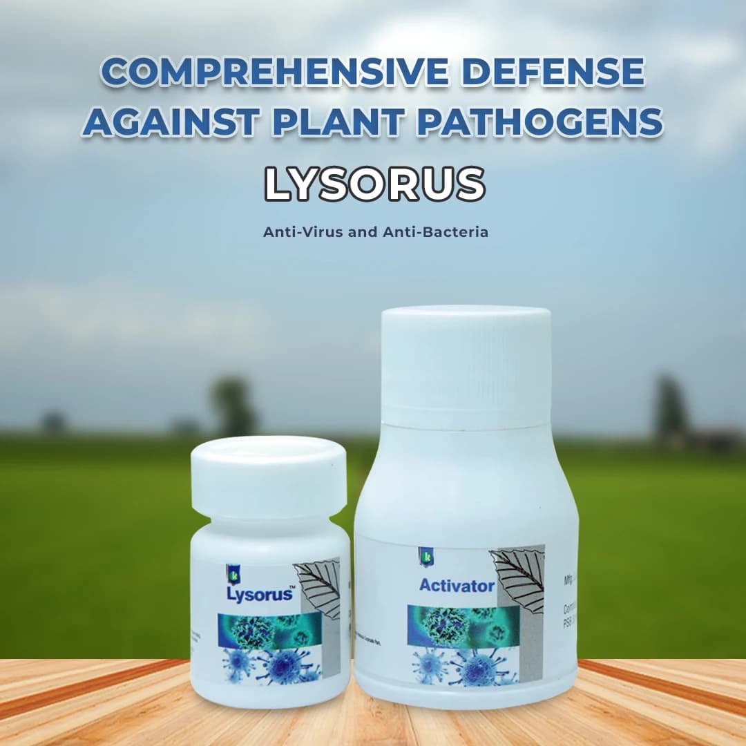 Katra Lysorus Anti-Virus and Anti-Bacteria (1 GM Lysorus Powder + 50 ML Activator) - Image 2