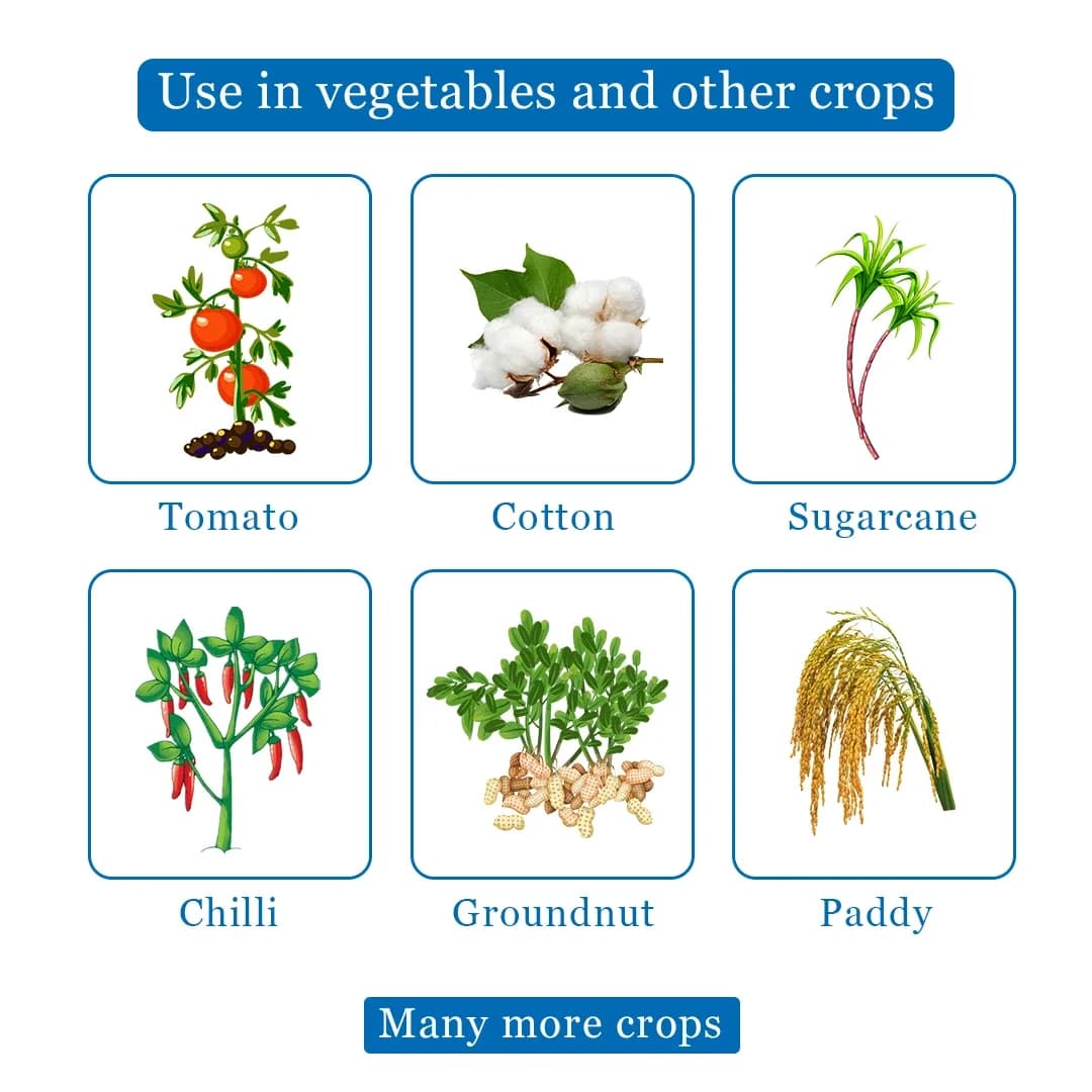 Katyayani Imida IMIDACLOPRID 30.5% SC Systematic Insecticide Control of Sucking Pest Aphid, Jassid, Thrips And Termites - Image 4