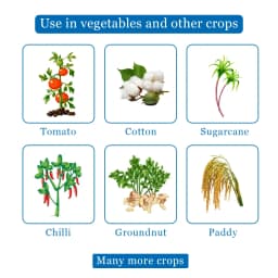Katyayani Imida IMIDACLOPRID 30.5% SC Systematic Insecticide Control of Sucking Pest Aphid, Jassid, Thrips And Termites 4