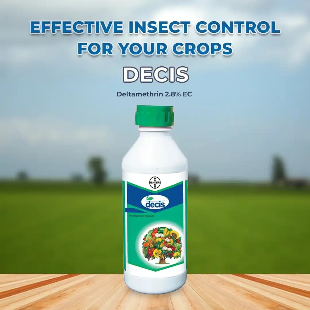 Bayer Decis Insecticide - Image 2