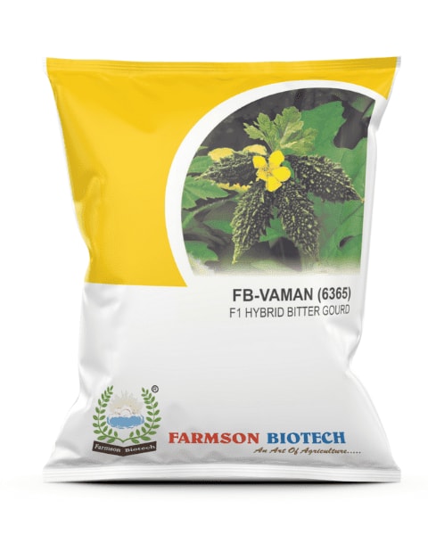 Farmson FB-Vaman (6365) F1 Hybrid Bitter Gourd Seeds, Small Sized or Chocolate Type Suitable for Round the Year