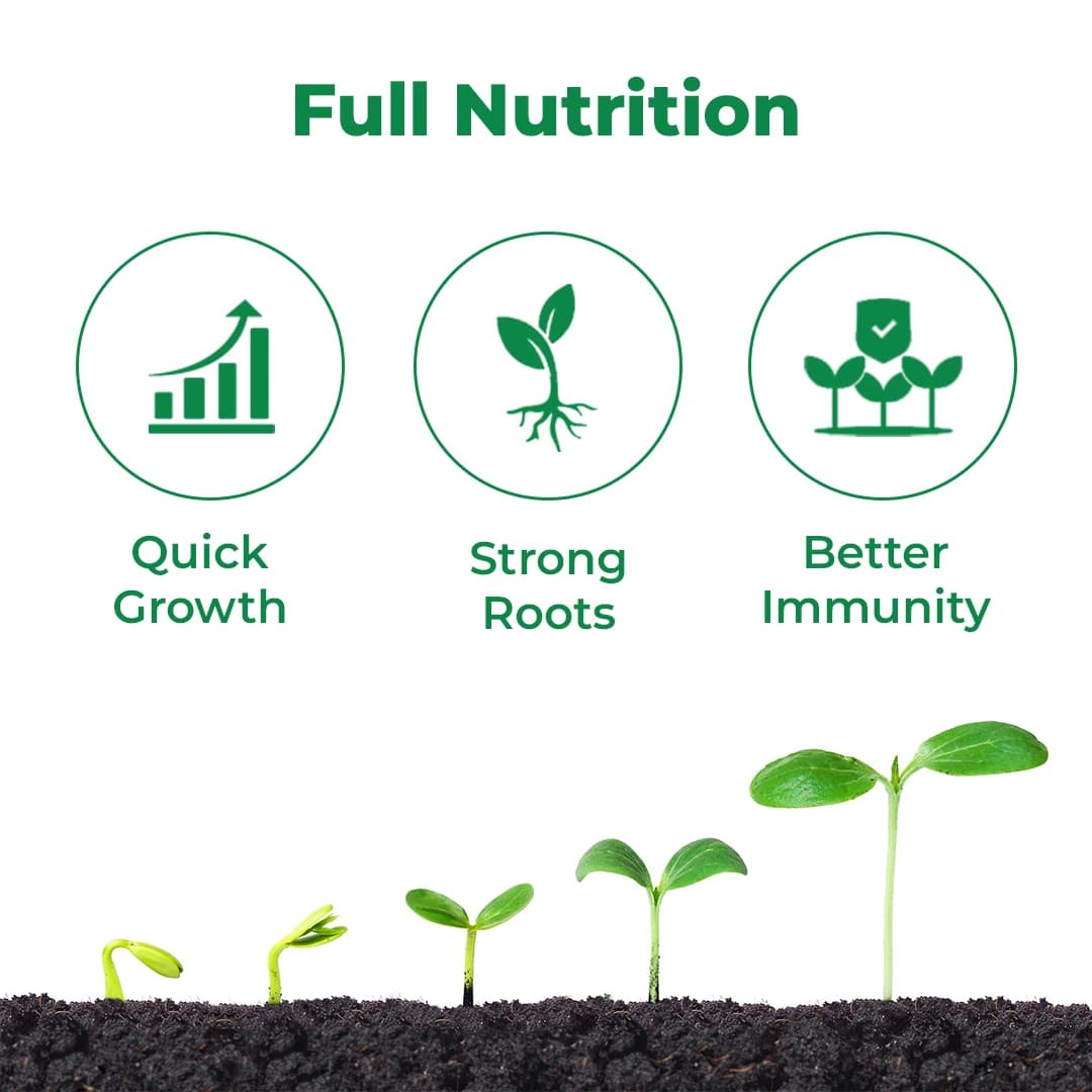 क्रिस्टल न्यूट्रोजेन प्रणालीगत संतुलित पोषण, इष्टतम चयापचय गतिविधियों के लिए। - Image 3