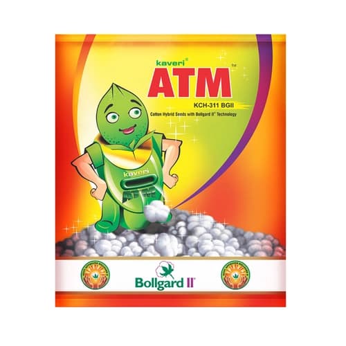 Kaveri Seeds ATM KCH-311 BG II Cotton Seeds, Erect Plant, Big Boll (475 Gm)