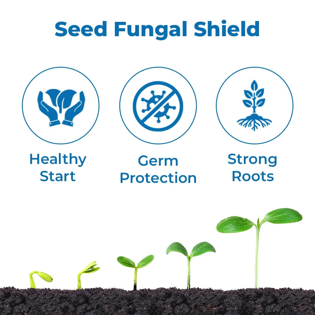 UPL Provax Carboxin 17.5% + Thiram 17.5% FF, Fungicide For Seed Treatment. - Image 3