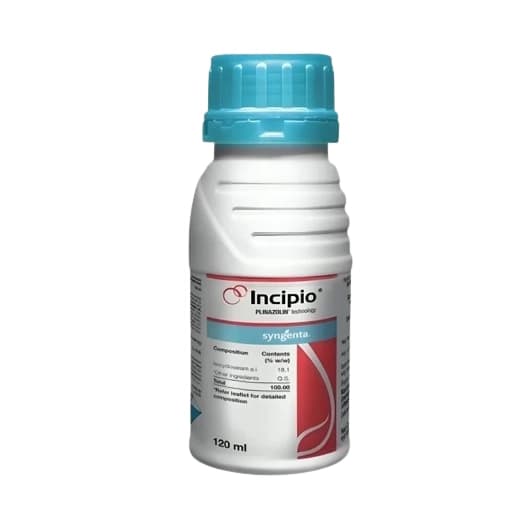 Syngenta Incipio Insecticide - Image 2