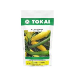 Tokai F1 Hybrid Zucchini Yellow Marvel, Bright Golden Color Variety, Excellent Flavour 1
