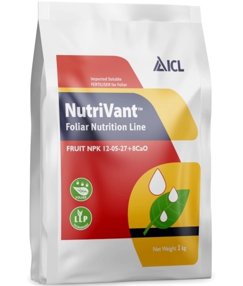 ICL Fruit Npk Foliar Nutrition Line 12:05:27 + 8CaO, Foliar Fertilizer For Higher Fruit Yields