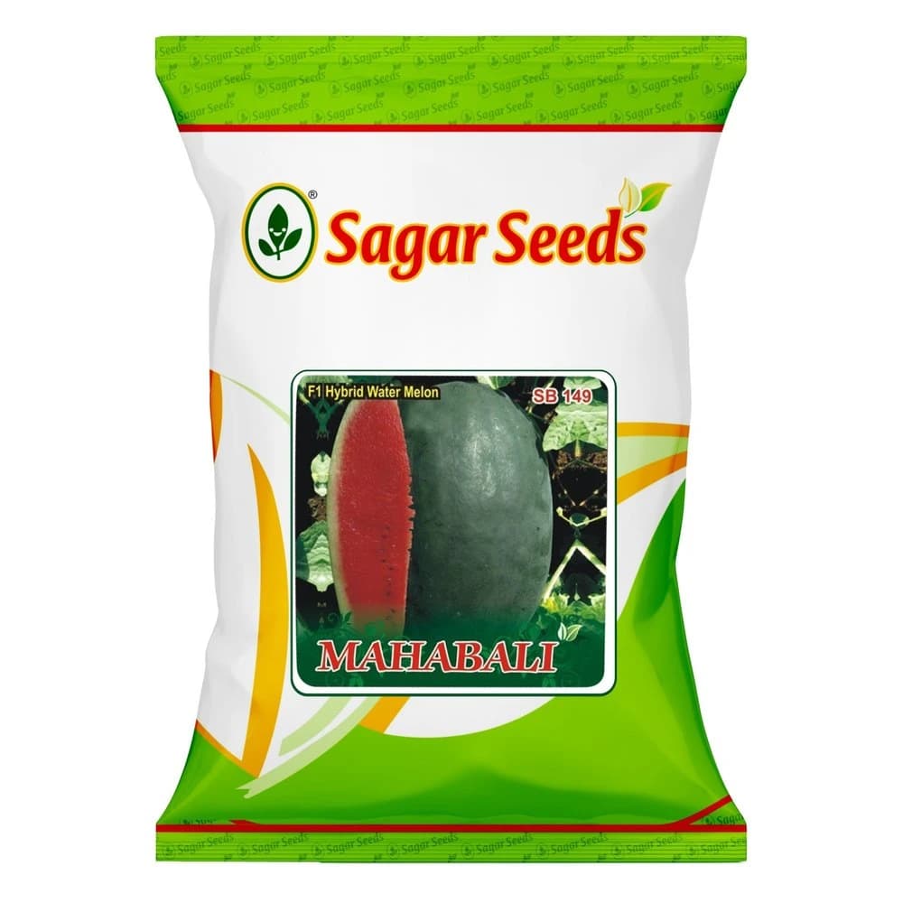 Sagar Mahabali F1 Hybrid Watermelon Seeds, High Yield, Suitable For Round The Year Cultivation - Image 1