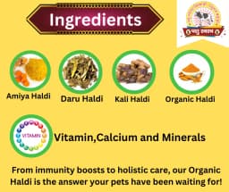 PASHU SVASTH ORGANIC HALDI, Animal Health Supplements, A Natural Shield for Animals, Increase Immunity, Fighting Cancer And More 4