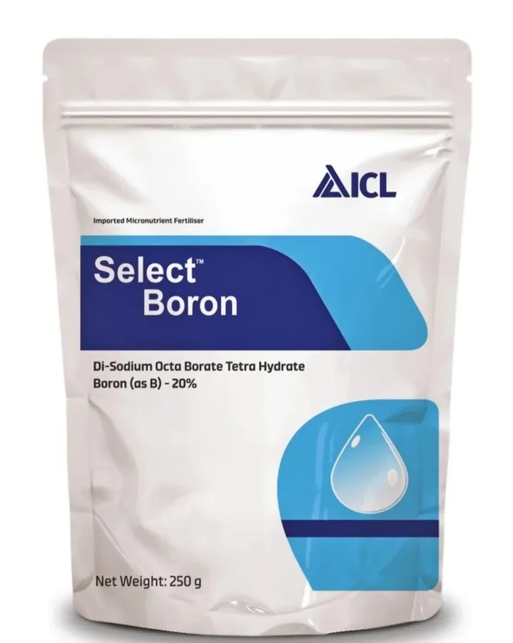 ICL Select Boron 20% Water Soluble Micronutrient Fertilizer For Crops