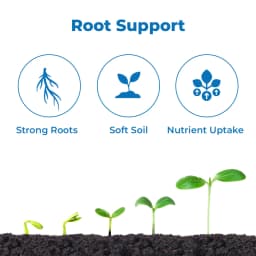 डॉ। बैक्टो वीएएम, वेसिकुलर अर्बुस्कुलर माइकोराइजा का तरल सूत्रीकरण, तरल उर्वरक। 3