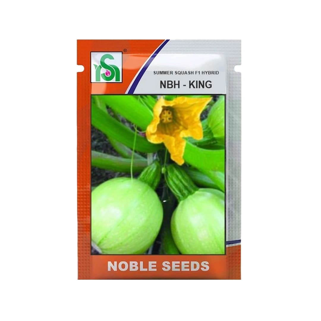 Noble NBH-King F1 Hybrid Summer Squash Seeds, High-Yield, Early Maturing, Light Green