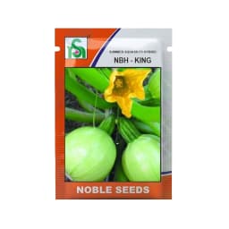 Noble NBH-King F1 Hybrid Summer Squash Seeds, High-Yield, Early Maturing, Light Green 1