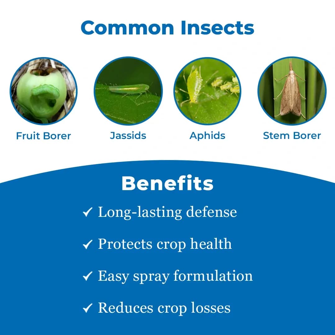 Bacf Fenel Insecticide - Image 3
