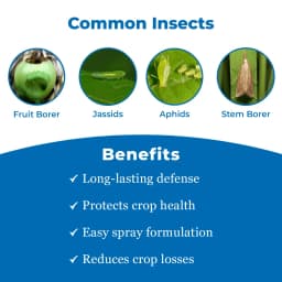 BACF Fenel Fipronil 5% SC Contact and Systemic Insecticides , Best For Leafhopper, Gall Midge 3