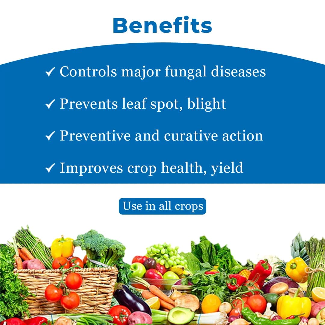 BACF CARMAN - Carbendazim 12% + Mancozeb 63% WP Fungicide , Contact and systematic, Best For Blast, Leaf Spot And Tikka. - Image 4