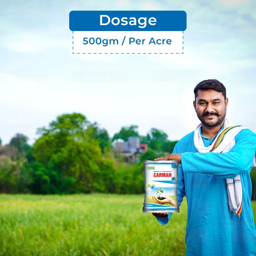 Carman Fungicide - Carbendazim 12% + Mancozeb 63% WP - Image 5